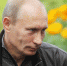 Об отставке Владимира Путина написал британский таблоид - Копейский рабочий