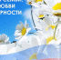 Поздравление Главы Копейска Светланы Логановой с Днем семьи, любви и верности - Администрация г. Копейска