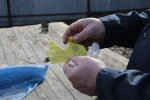 Бирка.JPG