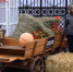 Разгуляй по-Копейски - Копейский рабочий