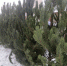 hJ2yvDAGObnq5Te3a-vgDu-3f10vbQ-GxKg08rc2wtt2BFIqpRZmJ0Yyl0pdsBEjPQSPHqbIIvJdvO8ni-QuhEvm.jpg - Инсит-ТВ