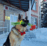 N2wqeT-6cuI.jpg - Инсит-ТВ
