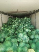 В Бугристом не пропустили 96 тонн овощей и фруктов из‑за нарушений маркировки