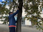 В Копейске прошел ежемесячный субботник